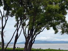 -深圳湾公园(南山区)