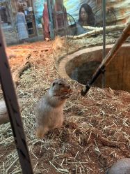 -Zoolung Zoolung动物主题公园(海信广场店)