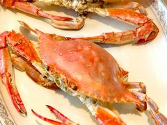 -奕景海鲜酒家· 大连海鲜(星海广场店)