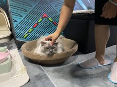 -零纪元VR体验馆·桌游(黄浦店)