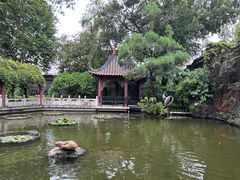 -碧江金楼