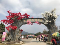 -天适樱花悠乐园