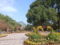 -南山植物园