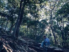 -紫金山山顶公园