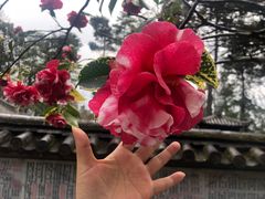 -苍山感通索道
