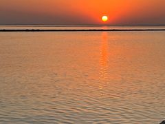 -合肥滨湖国家森林公园