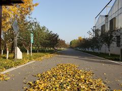 -石家庄市植物园