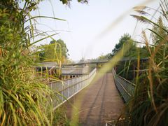 -白鹭湾湿地公园