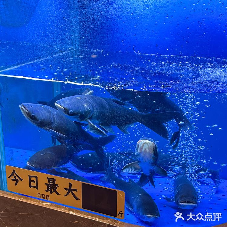 深圳的!梅干菜扣肉饭!好吃死了……