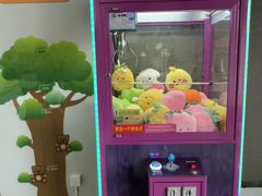 -成都泰迪熊博物馆