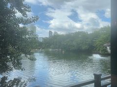 -侨美·唐荔园·40年地道粤菜