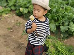 -安德鲁户外烧烤帐篷营地(马泉营店)