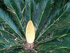 -怪噜范·老贵阳街头名小吃(鸿通城店)