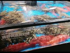 -盒马鲜生(双清路店)