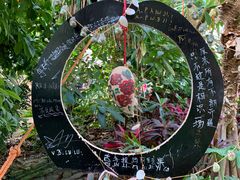 -呀路古热带植物园