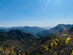 -大岭沟猕猴桃谷风景区