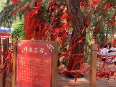 -北海金海湾红树林生态旅游区