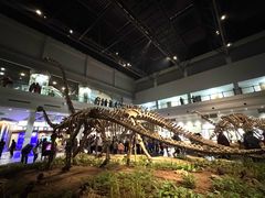 -自贡恐龙博物馆