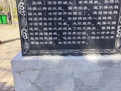 -曹州牡丹园