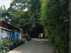 -昆明动物园