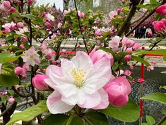 -元大都城垣遗址公园