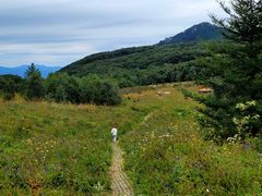 -白草畔自然风景区