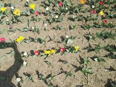 -长春公园(普阳街道)