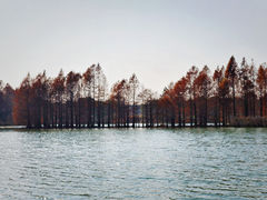-尚湖风景区