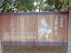 -梁鸿国家湿地公园