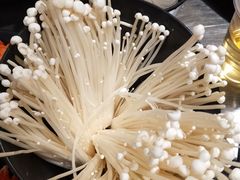 -水哥卜卜贝(东晓·胜汇里店)