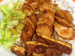 -瑞霖·隆江猪脚饭
