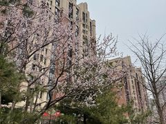 -北京清河万象汇