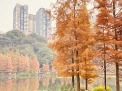 -重庆彩云湖湿地公园