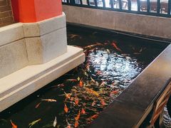 -龙悦湾酒家·八阵鱼生·渔人码头店