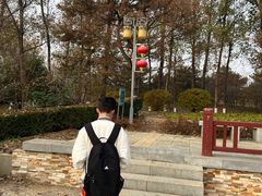 -燕郊植物园