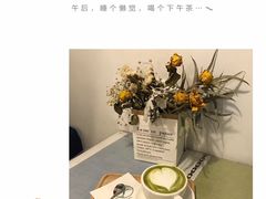 -树咖啡tree coffee