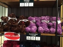 -济州岛泰迪熊博物馆