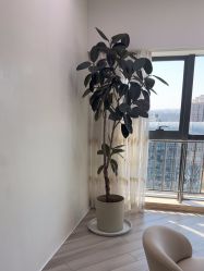 -HEYAN荷妍专业脱毛连锁机构