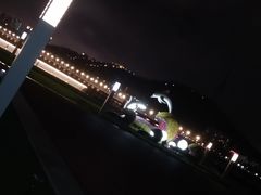 -野狸岛