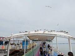 -海驴岛(荣成市)