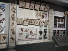 -重庆自然博物馆(新馆)