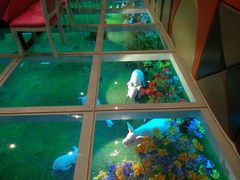 -幸福花欢乐世界(东辰广场A座店)