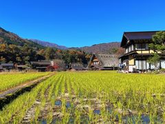 -白川乡与五箇山的合掌构造村落