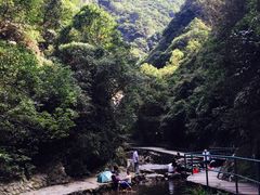 -宁波五龙潭景区