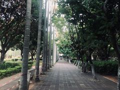 -厦门大学(思明校区)