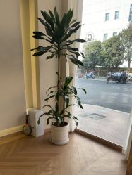 -美丽妈妈产后恢复中心(南桥旗舰店)