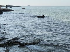 -长岛南北长山旅游景区