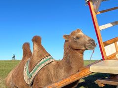 -呼和诺尔旅游景区