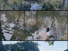 -拙政园