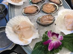 -熹悟海鲜火锅·广式打边炉